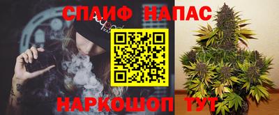 МДПВ Гусев