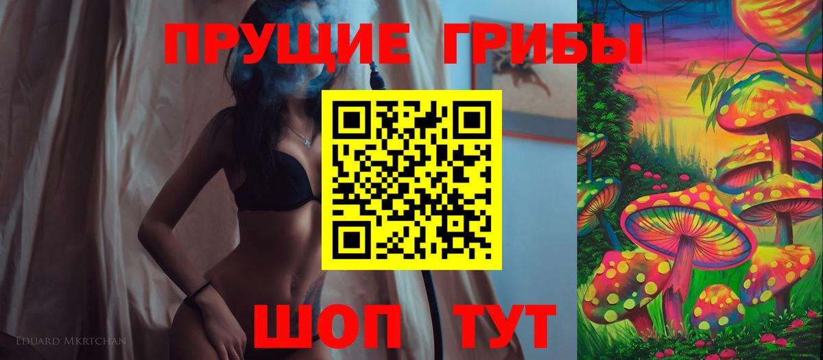 Сафоново  Галлюциногенные грибы Psilocybine cubensis  Вход с VPN 